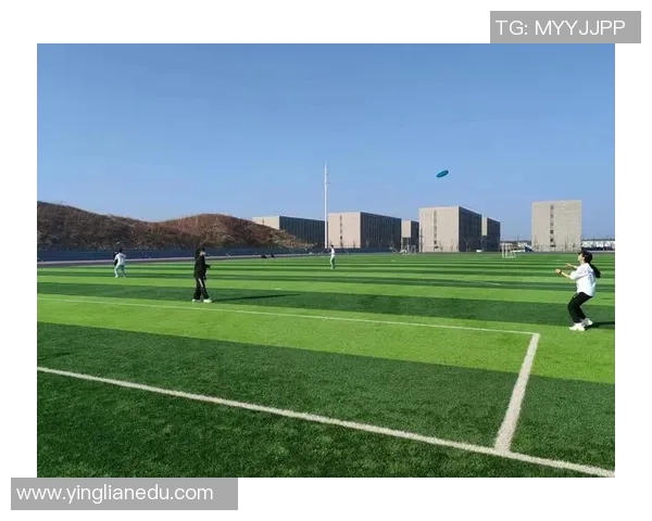 武汉飞盘队实力解析：从训练到比赛的全方位剖析与展望