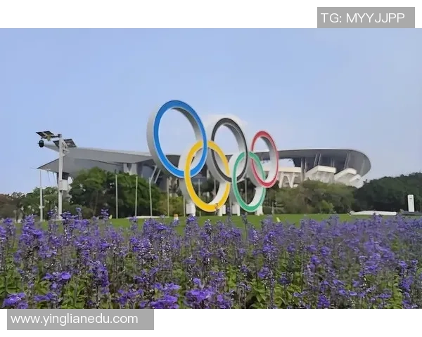 深圳网球队与南京网球队耐力对决的深度分析与赛后总结 深圳网球队与南京网球队耐力对决的深度分析与赛后总结