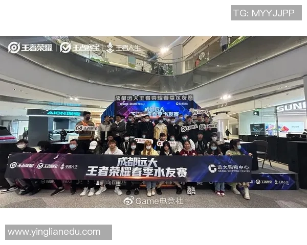 聚焦王者荣耀：深入分析LNG战队的实力与战术布局