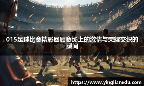 015足球比赛精彩回顾赛场上的激情与荣耀交织的瞬间